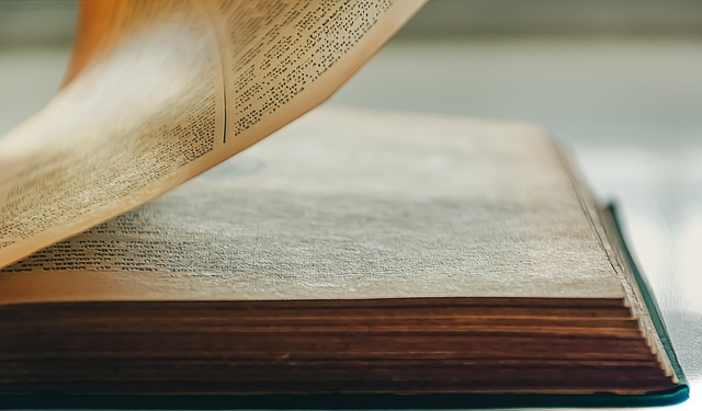 Crear un storytelling